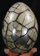 Septarian Dragon Egg Geode With Removable Section #33724-2